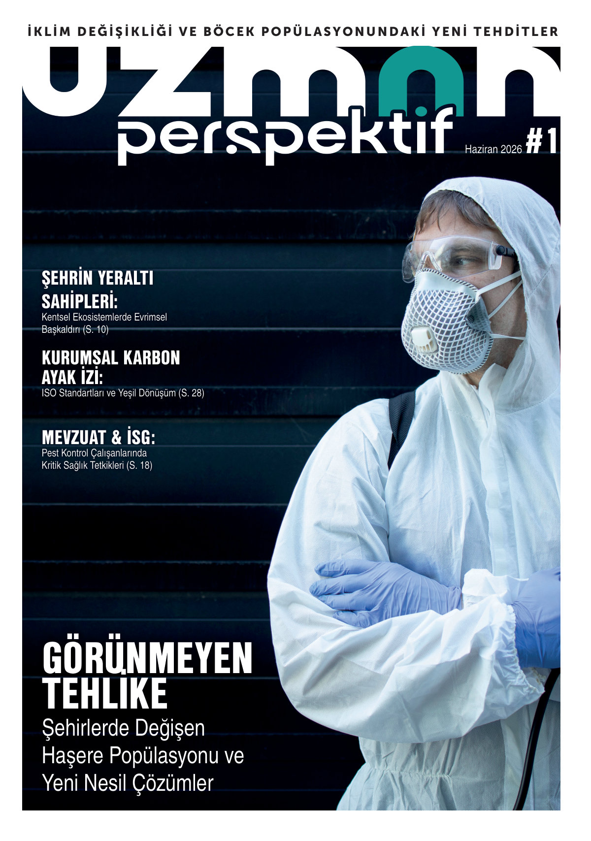 Uzman Perspektif Sayı 2 Kapak